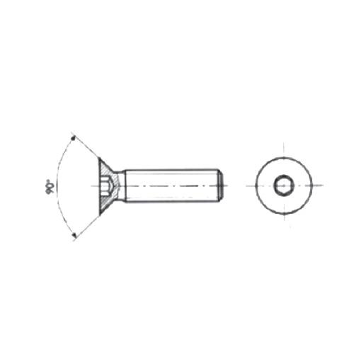Tornillo Especial Para Remache Roscado M5. Socked Countersink Head M5x25 Mm. Acero Inox