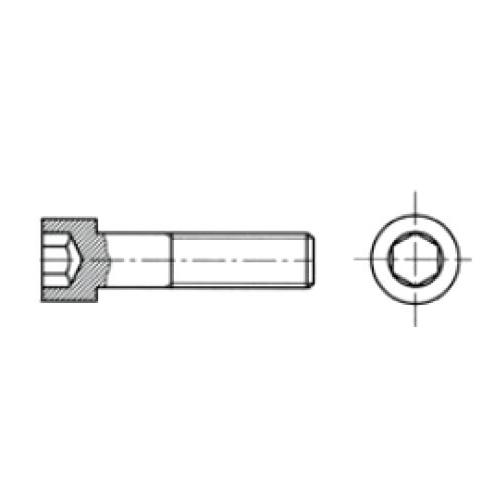 Tornillo Especial Para Remache Roscado M8. Socked Head Cap M8x20 Mm. Acero Inox